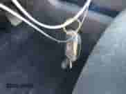 2020 Ford F-150 XL z VIN 1FTEW1E42LKD55959, wystawiony jako IAAI lot #43066925 z przebiegiem 106 965 mil mil oraz . Historia ofert i sprzedaży dostępna na DreamBid. Obrazek 11.