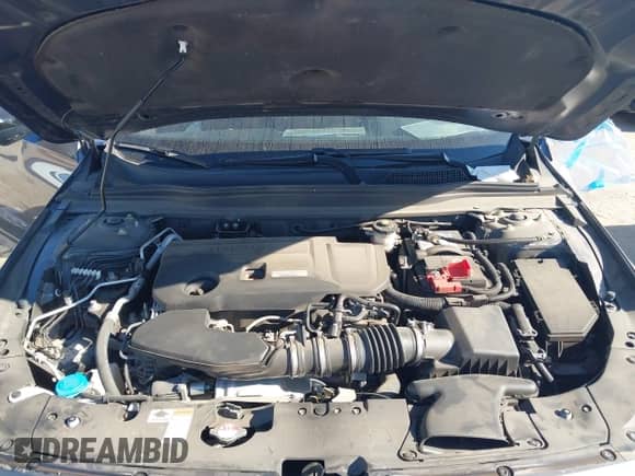 2020 Honda Accord Sport with VIN 1HGCV2F38LA005152, listed as a IAAI auction lot 43121081 with 18,599 mi miles and . Bid and sale history available at DreamBid. Image 10.