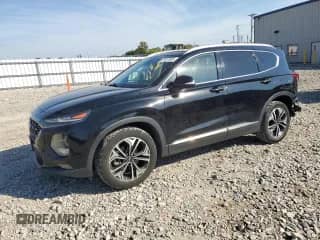 2019 Hyundai Santa Fe Limited with VIN 5NMS5CAA8KH031616, listed as a Copart auction lot 81957685 with 86,198 mi miles and Salvage title. Bid and sale history available at DreamBid. Image 1.