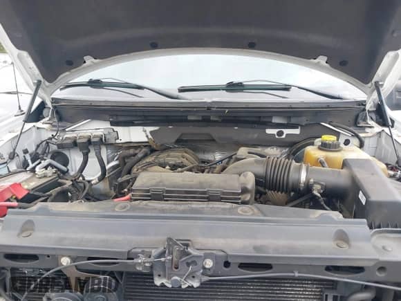 2014 Ford F-150 XL with VIN 1FTMF1CM7EFB62801, listed as a IAAI auction lot 43323235 with 186,000 mi miles and . Bid and sale history available at DreamBid. Image 10.