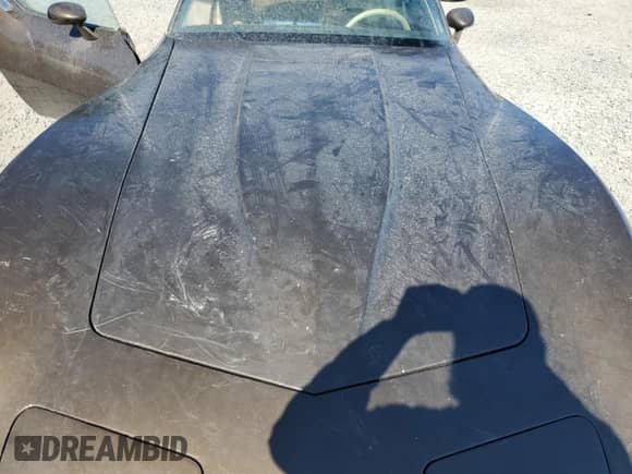 1980 Chevrolet Corvette с VIN 1Z878AS402223, выставлен на аукционе Copart как лот 74511014 с пробегом Не указан миль и Списание • Salvage title. История ставок и продаж доступна на DreamBid. Изображение 11.