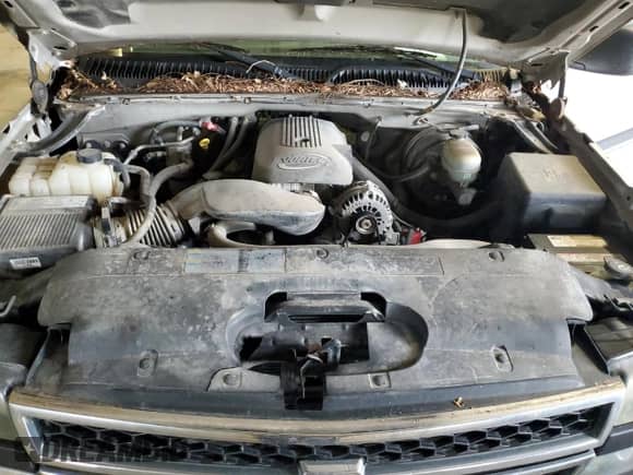 2006 Chevrolet Silverado 1500 LT3 z VIN 1GCEK19Z96Z167954, wystawiony jako Copart lot #64427625 z przebiegiem 181 512 mil mil oraz Czysty tytuł • Clean title. Historia ofert i sprzedaży dostępna na DreamBid. Obrazek 11.