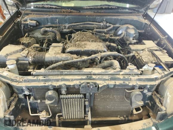 2004 Toyota Tundra SR5 z VIN 5TBBT44194S453071, wystawiony jako Copart lot #61564995 z przebiegiem Nie podano mil oraz Szkoda całkowita • Salvage title. Historia ofert i sprzedaży dostępna na DreamBid. Obrazek 11.