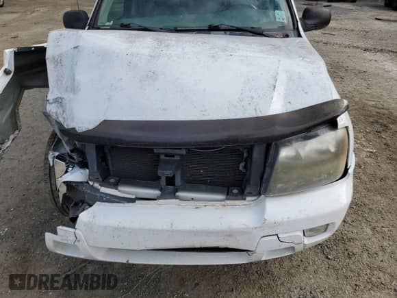 2007 Chevrolet TrailBlazer LT z VIN 1GNDS13S972181037, wystawiony jako Copart lot #43386965 z przebiegiem 199 143 mil mil oraz Szkoda całkowita • Salvage title. Historia ofert i sprzedaży dostępna na DreamBid. Obrazek 13.