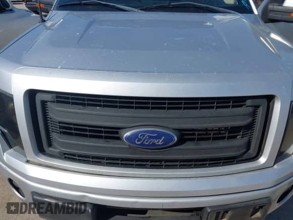 2013 Ford F-150 XLT with VIN 1FTFW1CTXDFA90281, listed as a IAAI auction lot 43453074 with 246,980 mi miles and . Bid and sale history available at DreamBid. Image 6.