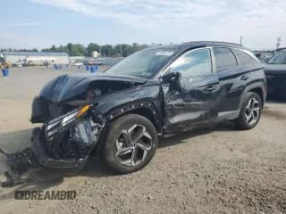 2023 Hyundai Tucson SEL Convenience with VIN KM8JFCA14PU093180, listed as a Copart auction lot 82099125 with Not provided miles and Salvage title. Bid and sale history available at DreamBid. Image 1.