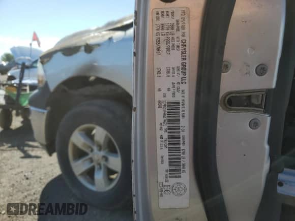 2010 Dodge 1500 SLT with VIN 1D7RV1GP8AS174671, listed as a Copart auction lot 64781475 with Not provided miles and Non repairable. Bid and sale history available at DreamBid. Image 12.