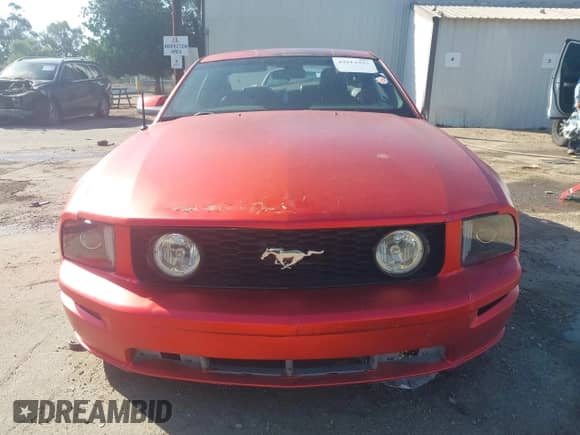 2006 Ford Mustang GT Deluxe with VIN 1ZVFT82H565170334, listed as a IAAI auction lot 43514353 with 155,822 mi miles and . Bid and sale history available at DreamBid. Image 13.