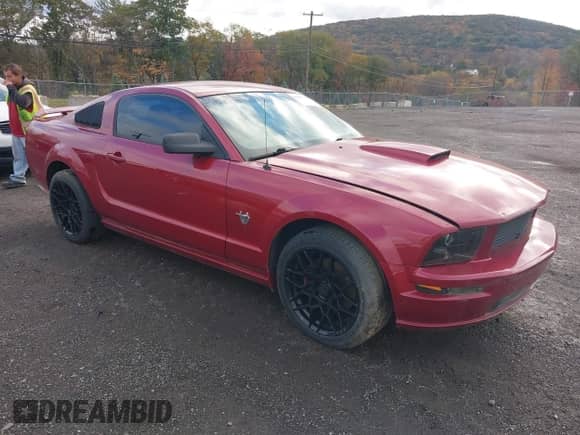 2009 Ford Mustang GT z VIN 1ZVHT82H195142785, wystawiony jako IAAI lot #43497736 z przebiegiem 118 562 mil mil oraz . Historia ofert i sprzedaży dostępna na DreamBid. Obrazek 1.