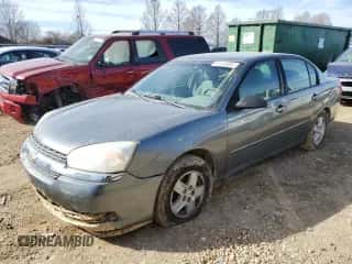 2005 Chevrolet Malibu LS с VIN 1G1ZT52825F225080, выставлен на аукционе Copart как лот 41103504 с пробегом 123 239 миль миль и Списание • Salvage title. История ставок и продаж доступна на DreamBid. Изображение 1.