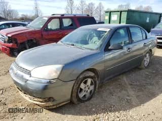 2005 Chevrolet Malibu LS с VIN 1G1ZT52825F225080, выставлен на аукционе Copart как лот 41103504 с пробегом 123 239 миль миль и Списание • Salvage title. История ставок и продаж доступна на DreamBid. Изображение 1.