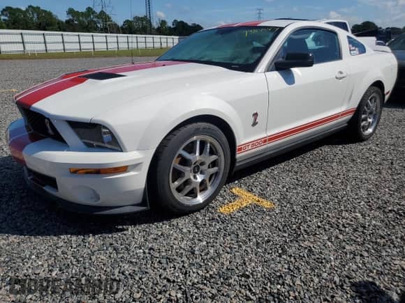 2009 Ford Mustang Shelby GT500 z VIN 1ZVHT88SX95132470, wystawiony jako Copart lot #73875834 z przebiegiem Nie podano mil oraz Szkoda całkowita • Salvage title. Historia ofert i sprzedaży dostępna na DreamBid. Obrazek 1.