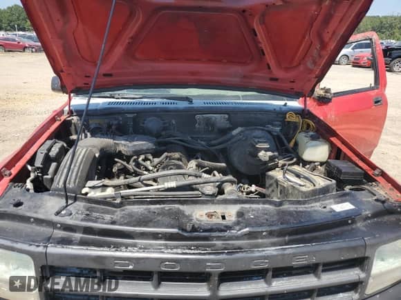 1994 Dodge Dakota z VIN 1B7FL26GRWQ111468, wystawiony jako Copart lot #68062354 z przebiegiem 249 839 mil mil oraz Szkoda całkowita • Salvage title. Historia ofert i sprzedaży dostępna na DreamBid. Obrazek 11.