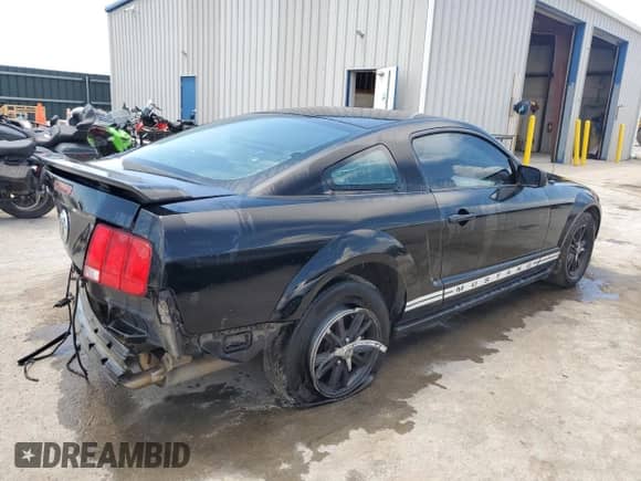 2005 Ford Mustang Deluxe with VIN 1ZVFT80N855107171, listed as a Copart auction lot 64255855 with 251,576 mi miles and Salvage title. Bid and sale history available at DreamBid. Image 3.