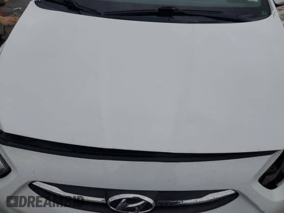 2015 Hyundai Accent GS с VIN KMHCT5AEXFU230220, выставлен на аукционе Copart как лот 79206654 с пробегом 86 170 миль миль и Списание • Salvage title. История ставок и продаж доступна на DreamBid. Изображение 11.