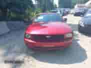 2006 Ford Mustang Standard с VIN 1ZVFT84N865222011, выставлен на аукционе IAAI как лот 42523400 с пробегом 234 756 миль миль и . История ставок и продаж доступна на DreamBid. Изображение 12.