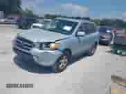 2007 Hyundai Santa Fe GLS с VIN 5NMSG13D77H119151, выставлен на аукционе IAAI как лот 43037831 с пробегом 318 866 миль миль и . История ставок и продаж доступна на DreamBid. Изображение 2.