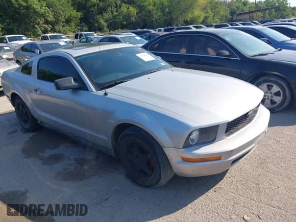 2005 Ford Mustang Deluxe with VIN 1ZVFT80N655199168, listed as a IAAI auction lot 42926601 with 210,892 mi miles and . Bid and sale history available at DreamBid. Image 1.