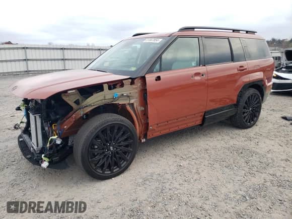 2024 Hyundai Santa Fe Calligraphy с VIN 5NMP5DGL7RH049720, выставлен на аукционе Copart как лот 81567854 с пробегом 2 514 миль миль и Списание • Salvage title. История ставок и продаж доступна на DreamBid. Изображение 1.