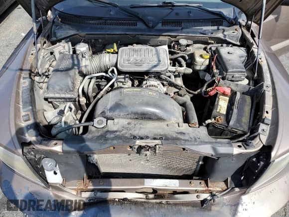 2010 Dodge Dakota Bighorn/Lonestar with VIN 1D7CW3GK5AS104757, listed as a Copart auction lot 81603355 with 208,869 mi miles and Salvage title. Bid and sale history available at DreamBid. Image 11.