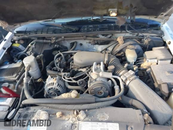 1998 Chevrolet S-10 LS z VIN 1GCCS19X2W8109177, wystawiony jako IAAI lot #42992631 z przebiegiem 146 670 mil mil oraz . Historia ofert i sprzedaży dostępna na DreamBid. Obrazek 10.