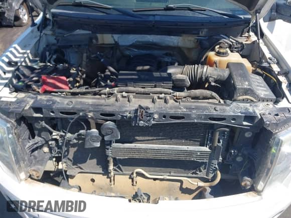 2012 Ford F-150 XL z VIN 1FTFW1EF9CFC87299, wystawiony jako IAAI lot #43103585 z przebiegiem 215 825 mil mil oraz . Historia ofert i sprzedaży dostępna na DreamBid. Obrazek 10.