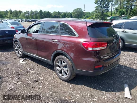 2019 Kia Sorento EX with VIN 5XYPHDA55KG596728, listed as a IAAI auction lot 42914849 with 33,288 mi miles and . Bid and sale history available at DreamBid. Image 3.