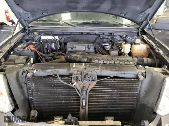 2008 Ford F-150 XLT z VIN 1FTPX14V58FB83359, wystawiony jako Copart lot #46600305 z przebiegiem 154 636 mil mil oraz Szkoda całkowita • Salvage title. Historia ofert i sprzedaży dostępna na DreamBid. Obrazek 11.