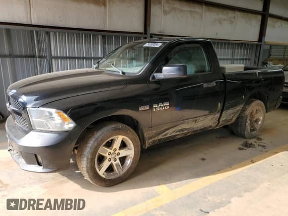 2014 Ram 1500 Tradesman with VIN 3C6JR6AT5EG305137, listed as a Copart auction lot 74699094 with Not provided miles and Salvage title. Bid and sale history available at DreamBid. Image 1.