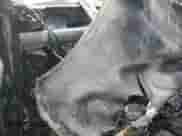 2014 Ram 1500 Sport с VIN 3C6JR7CT9EG107924, выставлен на аукционе Copart как лот 57615205 с пробегом Не указан миль и Списание • Salvage title. История ставок и продаж доступна на DreamBid. Изображение 9.