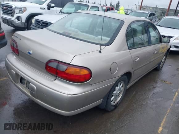 1998 Chevrolet Malibu LS с VIN 1G1NE52M1W6249023, выставлен на аукционе IAAI как лот 41779319 с пробегом 71 307 миль миль и . История ставок и продаж доступна на DreamBid. Изображение 4.