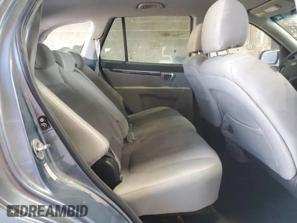 2009 Hyundai Santa Fe GLS с VIN 5NMSG13D39H295245, выставлен на аукционе Copart как лот 81215295 с пробегом 160 319 миль миль и Списание • Salvage title. История ставок и продаж доступна на DreamBid. Изображение 11.