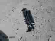 2009 Chevrolet Malibu 1LS with VIN 1G1ZG57B494169203, listed as a Copart auction lot 84866295 with 179,190 mi miles and Salvage title. Bid and sale history available at DreamBid. Image 12.