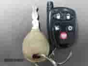 2008 Jeep Wrangler Unlimited X with VIN 1J4GA391X8L643615, listed as a IAAI auction lot 43022530 with 243,013 mi miles and . Bid and sale history available at DreamBid. Image 11.