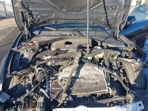 2016 BMW 4 Series 428i с VIN WBA4A9C52GG508088, выставлен на аукционе IAAI как лот 41210352 с пробегом Не указан миль и . История ставок и продаж доступна на DreamBid. Изображение 10.