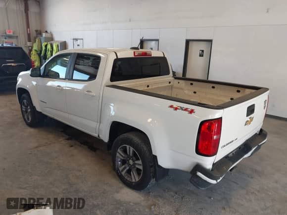 2017 Chevrolet Colorado 4WD WT with VIN 1GCGTBEN7H1214060, listed as a IAAI auction lot 42557141 with 107,538 mi miles and . Bid and sale history available at DreamBid. Image 3.