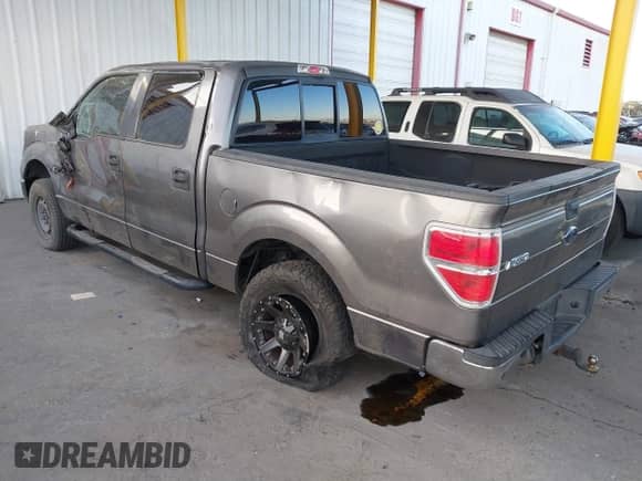 2009 Ford F-150 XL with VIN 1FTPW12V99KB51920, listed as a IAAI auction lot 41393055 with 175,699 mi miles and . Bid and sale history available at DreamBid. Image 3.