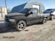 2002 Dodge 1500 z VIN 1D7HA16K42J244560, wystawiony jako Copart lot #48218505 z przebiegiem 218 303 mil mil oraz Szkoda całkowita • Salvage title. Historia ofert i sprzedaży dostępna na DreamBid. Obrazek 1.