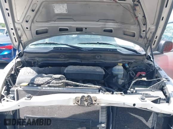 2002 Dodge 1500 with VIN 3D7HU18NX2G157441, listed as a IAAI auction lot 42317729 with 216,874 mi miles and . Bid and sale history available at DreamBid. Image 10.