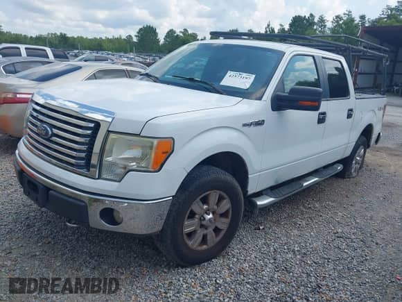 2010 Ford F-150 XL with VIN 1FTEW1E80AKA75716, listed as a IAAI auction lot 42573197 with 280,376 mi miles and . Bid and sale history available at DreamBid. Image 2.