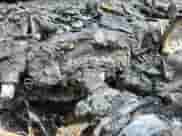 2017 BMW 5 Series 540i с VIN WBAJE5C39HG917205, выставлен на аукционе Copart как лот 62645415 с пробегом Не указан миль и На запчасти • Non repairable. История ставок и продаж доступна на DreamBid. Изображение 9.