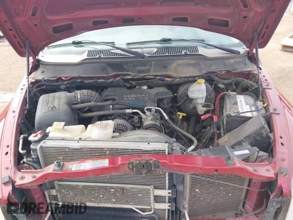 2007 Dodge 1500 SLT with VIN 1D7HA18217S238116, listed as a IAAI auction lot 42855915 with 224,361 mi miles and . Bid and sale history available at DreamBid. Image 13.