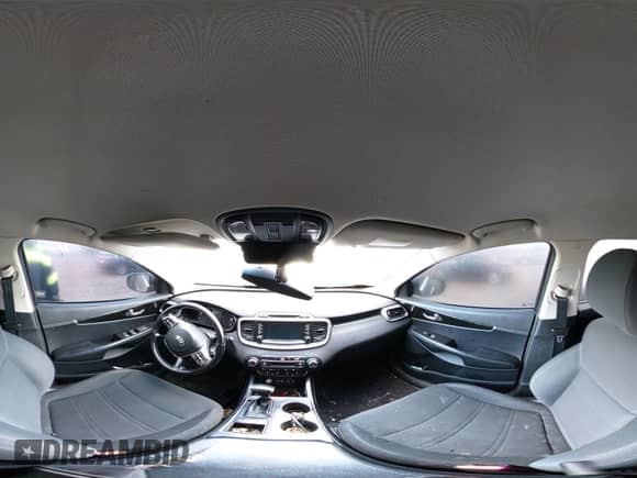 2019 Kia Sorento LX z VIN 5XYPGDA3XKG435423, wystawiony jako IAAI lot #43104558 z przebiegiem 125 190 mil mil oraz . Historia ofert i sprzedaży dostępna na DreamBid. Obrazek 19.