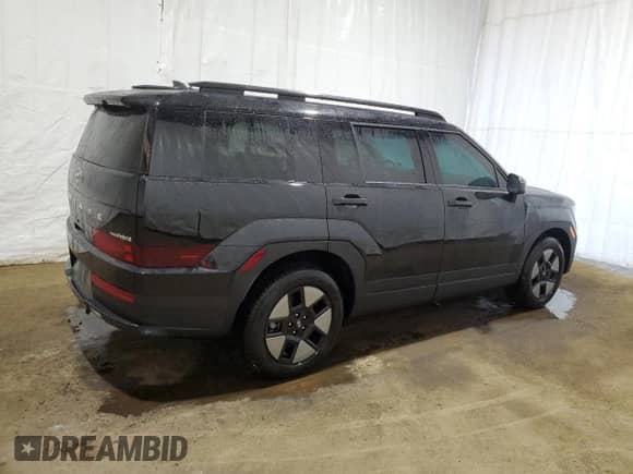 2024 Hyundai Santa Fe SEL с VIN 5NMP2DG16RH007692, выставлен на аукционе Copart как лот 70717694 с пробегом 2 611 миль миль и Списание • Salvage title. История ставок и продаж доступна на DreamBid. Изображение 3.