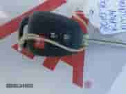 2015 Toyota RAV4 LE z VIN 2T3BFREV8FW276835, wystawiony jako IAAI lot #43361163 z przebiegiem 42 396 mil mil oraz . Historia ofert i sprzedaży dostępna na DreamBid. Obrazek 11.