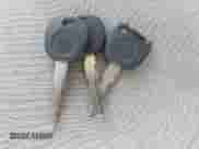 2005 Chevrolet TrailBlazer LT с VIN 1GNET16S556131741, выставлен на аукционе IAAI как лот 43434232 с пробегом 206 428 миль миль и . История ставок и продаж доступна на DreamBid. Изображение 11.