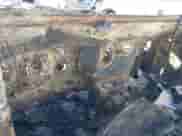 2024 Jeep Wrangler Willys с VIN 1C4PJXDG4RW362919, выставлен на аукционе IAAI как лот 41659376 с пробегом Не указан миль и . История ставок и продаж доступна на DreamBid. Изображение 7.