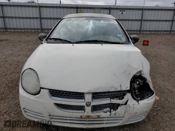 2003 Dodge Neon SE with VIN 1B3ES26C93D155982, listed as a Copart auction lot 76700794 with 187,225 mi miles and Salvage title. Bid and sale history available at DreamBid. Image 5.