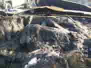 2017 Land Rover Range Rover Sport HSE z VIN SALWR2FV2HA160345, wystawiony jako IAAI lot #42390532 z przebiegiem Nie podano mil oraz . Historia ofert i sprzedaży dostępna na DreamBid. Obrazek 7.