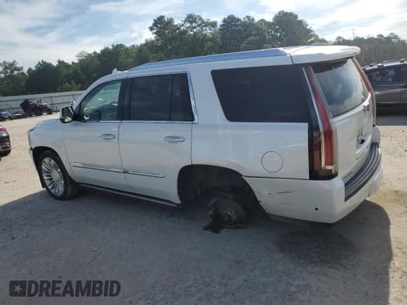 2017 Cadillac Escalade Platinum with VIN 1GYS4DKJ1HR246650, listed as a Copart auction lot 69136115 with 131,016 mi miles and Salvage title. Bid and sale history available at DreamBid. Image 2.